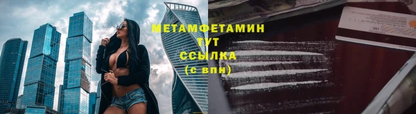 ГАЛЛЮЦИНОГЕННЫЕ ГРИБЫ Вяземский