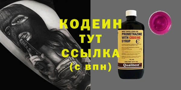 ГАЛЛЮЦИНОГЕННЫЕ ГРИБЫ Вяземский