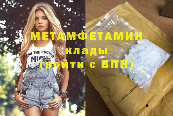 ГАЛЛЮЦИНОГЕННЫЕ ГРИБЫ Вяземский